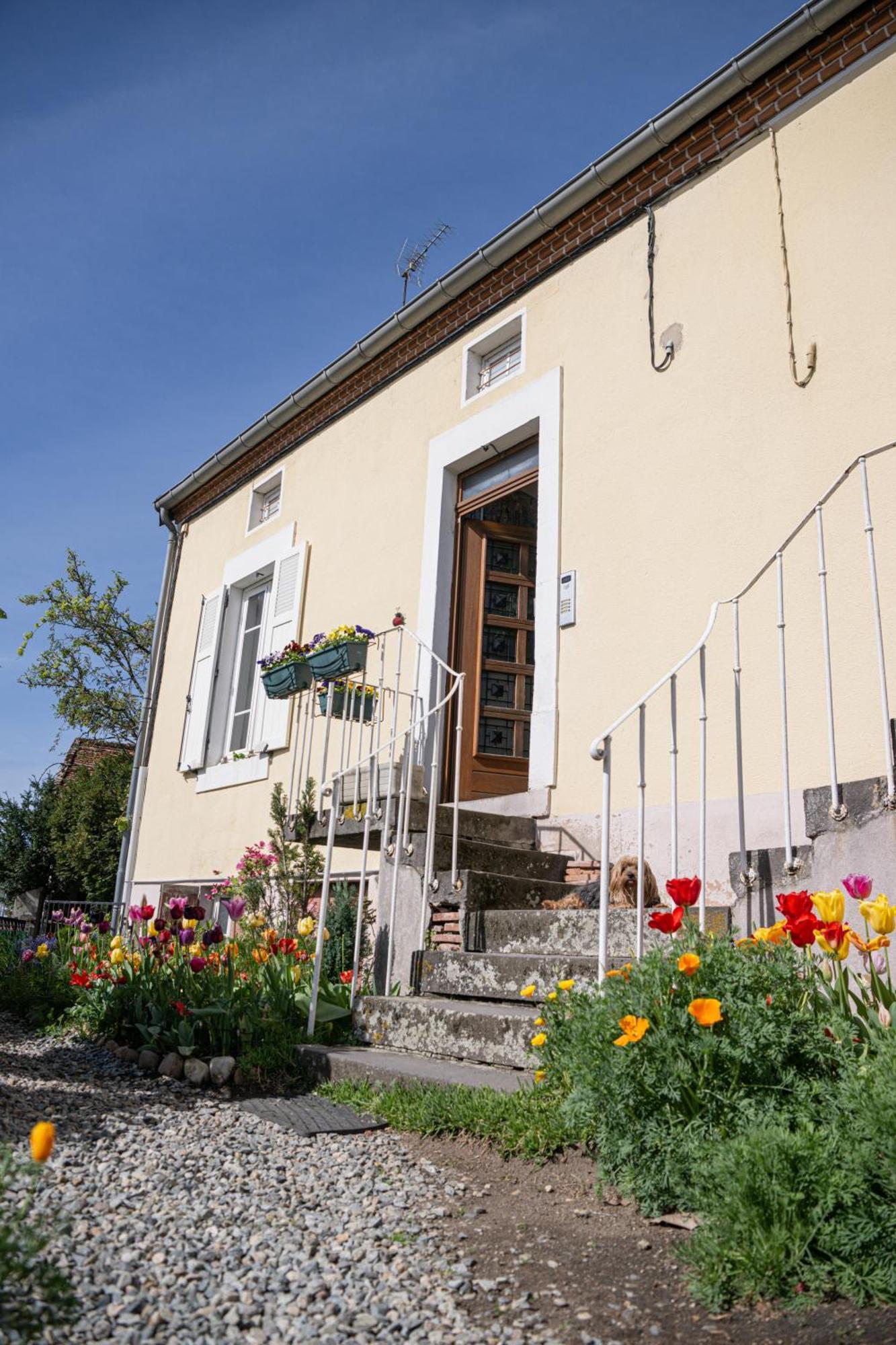 La Belle Rive Du Voyageur Apartment Bellerive-sur-Allier Ngoại thất bức ảnh